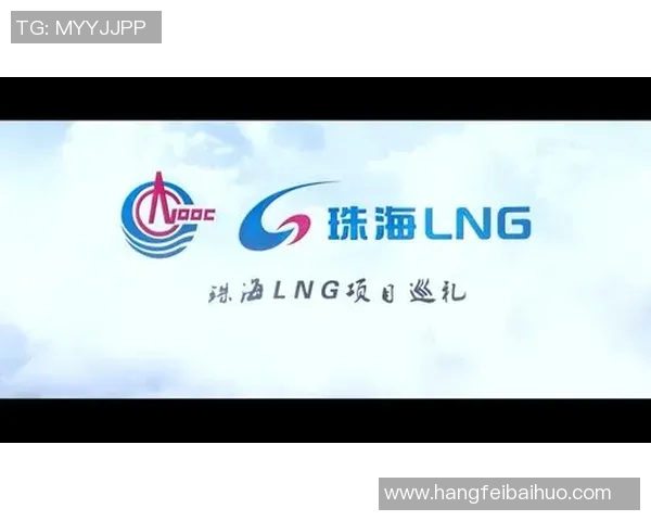全球挑战赛分析：LNG在灵活性方面的卓越表现与未来潜力探讨