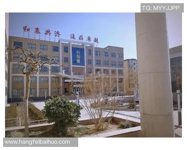 北京排球队的蜕变之路：从传统强队到现代竞技新标杆