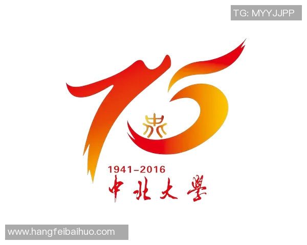 南京足球队在联合会杯中的拼搏历程与荣耀追寻的特别报道