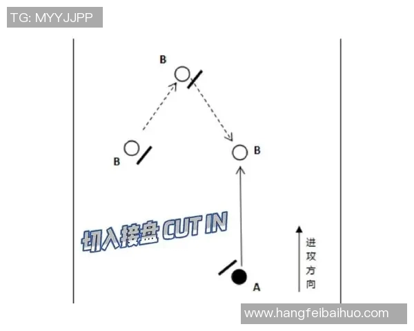 深入分析杭州飞盘队区域防守战术及其应用效果