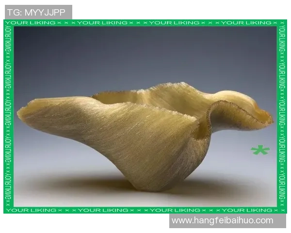 摩尔特里：探索科技与艺术交汇的创新之路与未来发展潜力