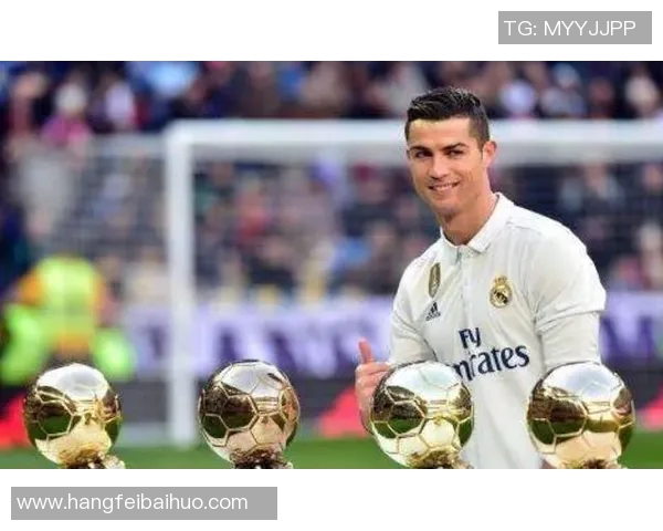 史鸿飞的奋斗历程与成就解析：从平凡到卓越的成长之路