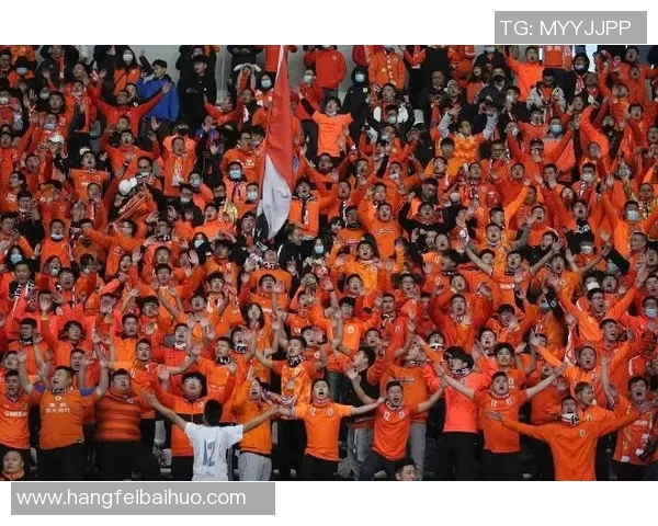 法国U17对阵荷兰青少年队精彩对决引发球迷热议与期待